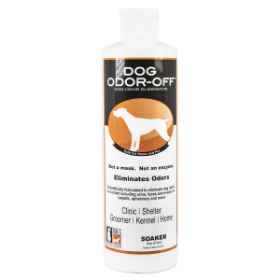 Show details for DOG ODOR OFF ELIMINATOR CARPET SOAKER - 16oz Picture of DOG ODOR OFF ELIMINATOR CARPET SOAKER - 16oz