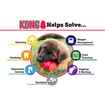 Picture of TOY DOG KONG SENIOR (KN1) - Large
