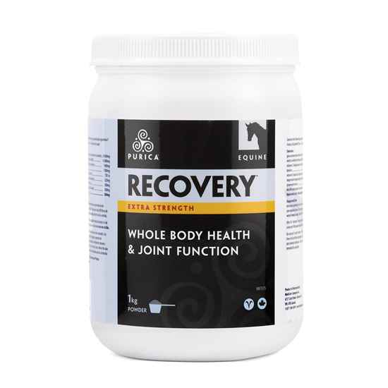 Picture of RECOVERY NUTRACEUTICAL EQUINE HA EXTRA STRENGTH - 1kg