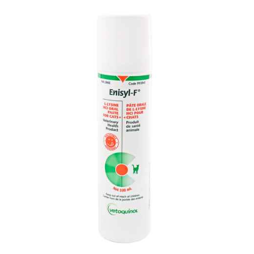 Picture of ENISYL-F L-LYSINE HCI ORAL PASTE for CATS - 100ml