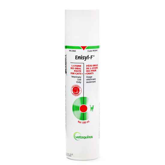 Picture of ENISYL-F L-LYSINE HCI ORAL PASTE for CATS - 100ml