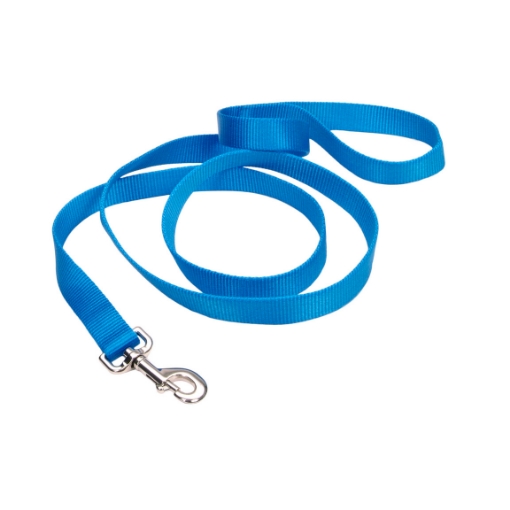 Picture of LEAD CANINE COASTAL Blue Lagoon - 1in x 6ft