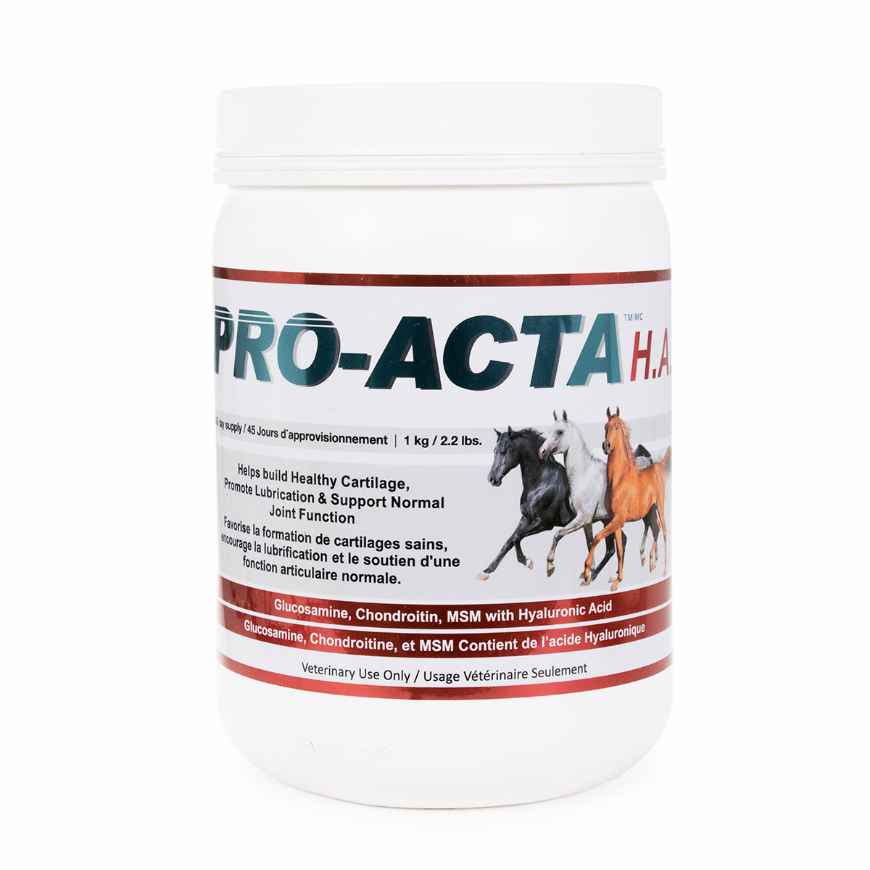 Picture of PRO - ACTA H.A. EQUINE RECOVERY FORMULA - 1kg