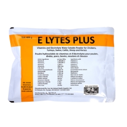 Picture of ELYTES(ELECTROLYTES) PLUS - 400g