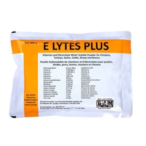 Picture of ELYTES(ELECTROLYTES) PLUS - 400g