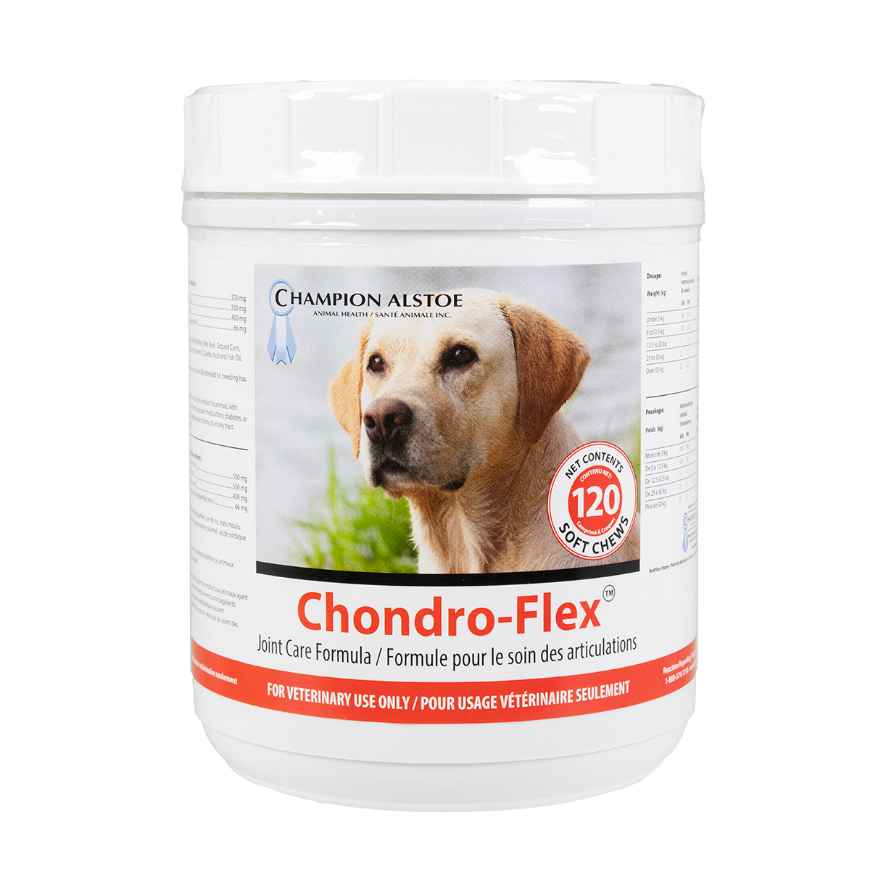 Picture of CHONDRO FLEX  SOFT CHEWS - 120's