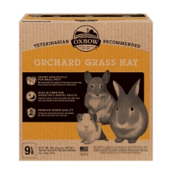 Picture of OXBOW Orchard Grass Hay For Small Animal Pets - 9lb/4.08kg Bulk Package
