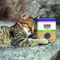 Picture of TOY CAT KONG Naturals Premium Catnip - 2oz / 56.7g