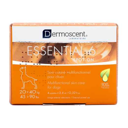 Picture of DERMOSCENT ESSENTIAL 6 SKIN CARE FOR DOGS 20 - 40kg - 4 x .2.4ml