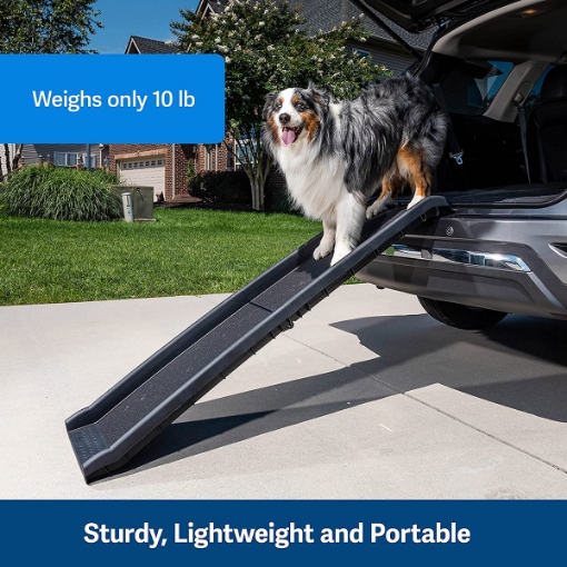 Picture of PETSAFE RAMP ULTRA LITE BI-FOLD - 62in x 16in x 4in