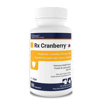 Picture of RX VITAMINS RX CRANBERRY CAPSULES - 90s