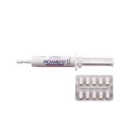 Show details for PROVIABLE KP-DC COMBO MED/ LRG DOGS 30ml + 10 CAPS Picture of PROVIABLE KP-DC COMBO MED/ LRG DOGS 30ml + 10 CAPS