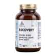 Picture of RECOVERY NUTRACEUTICAL CANINE/FELINE POWDER - 150gm