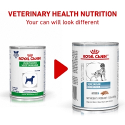 Picture of Royal Canin Veterinary Diet VEGETARIAN Loaf Wet Dog Food - 12 X 385gm cans