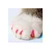 Picture of SOFT PAWS TAKE HOME KIT FELINE SMALL - Pink
