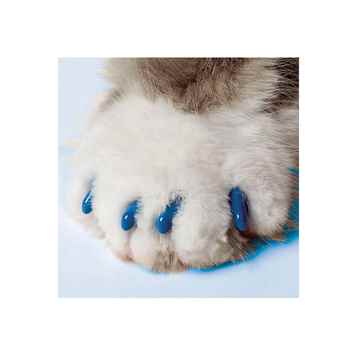 Picture of SOFT PAWS TAKE HOME KIT FELINE SMALL - Blue