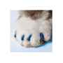 Picture of SOFT PAWS TAKE HOME KIT FELINE SMALL - Blue