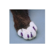 Picture of SOFT PAWS TAKE HOME KIT FELINE SMALL - Purple