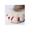 Picture of SOFT PAWS TAKE HOME KIT FELINE LARGE - Red