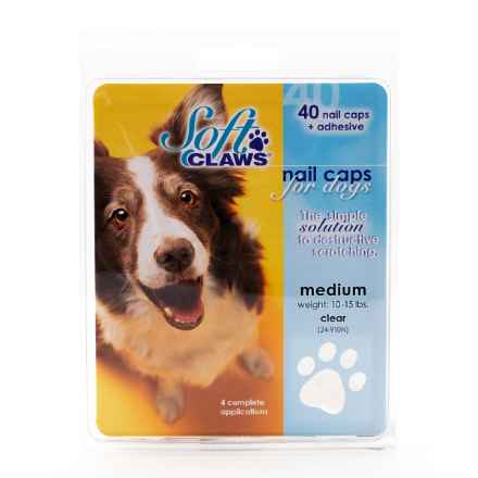 Picture of SOFT CLAWS TAKE HOME KIT CANINE MEDIUM - Natural