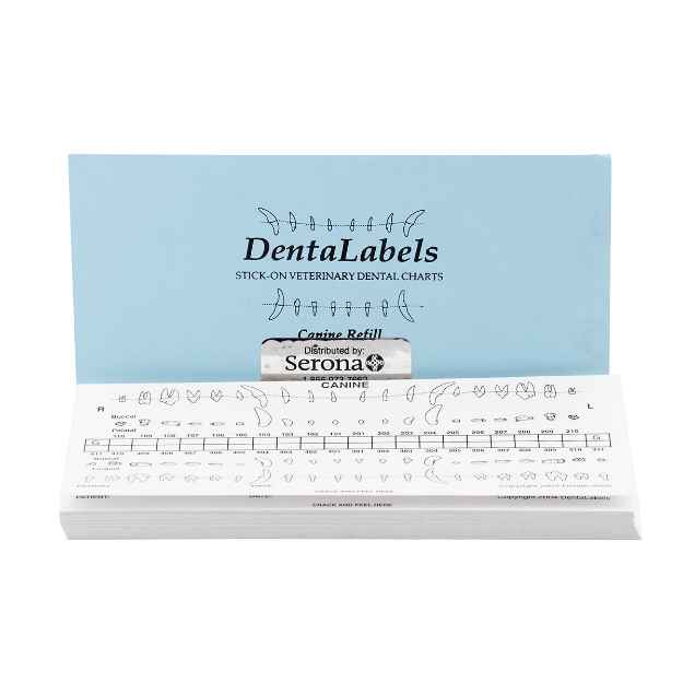 Picture of DENTALABEL DENTAL CHARTS(STICK-ON) CANINE - 50/pkg