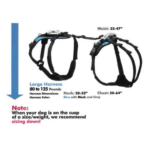 Picture of HELP EM UP CONVENTIONAL HARNESS (Blue) LARGE 80 - 125lbs