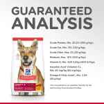 Picture of CANINE SCI DIET ADULT 1-6 CHICKEN & BARLEY - 35lb / 15.87kg