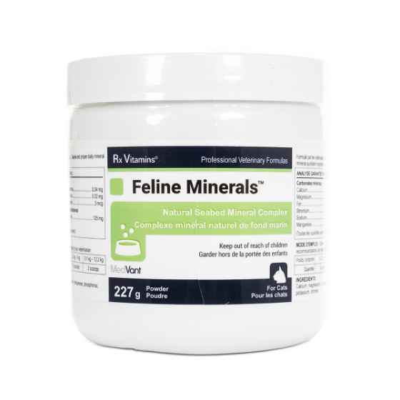 Picture of RX VITAMINS FELINE MINERALS POWDER - 227g