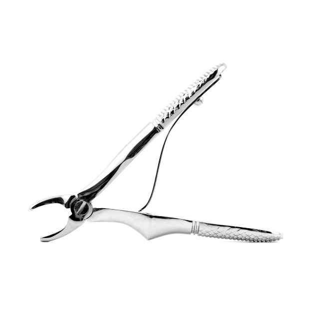 Picture of MILTEX F PETITE EXTRACTING FORCEPS 4 1/2in (DEFF)