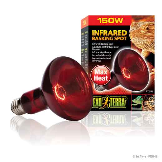 Picture of EXO TERRAHEAT INFRARED BASKING SPOT BULB R30  150w (PT2146)