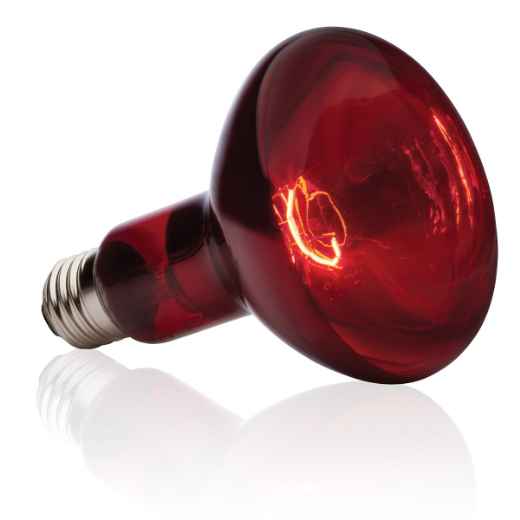 Picture of EXO TERRAHEAT INFRARED BASKING SPOT BULB R30  150w (PT2146)