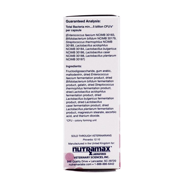 Picture of PROVIABLE - DC BLISTER PACK CAPSULES - 30s