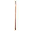 Picture of SNAREM Animal Control Pole KVP - 6ft