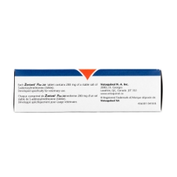 Picture of ZENTONIL PLUS 200mg CHEWABLE TABS - 30's