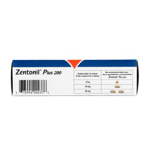 Picture of ZENTONIL PLUS 200mg CHEWABLE TABS - 30's