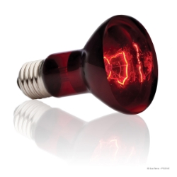 Picture of EXO TERRAHEAT GLO INFRARED SPOT LAMP 50w (PT2141)