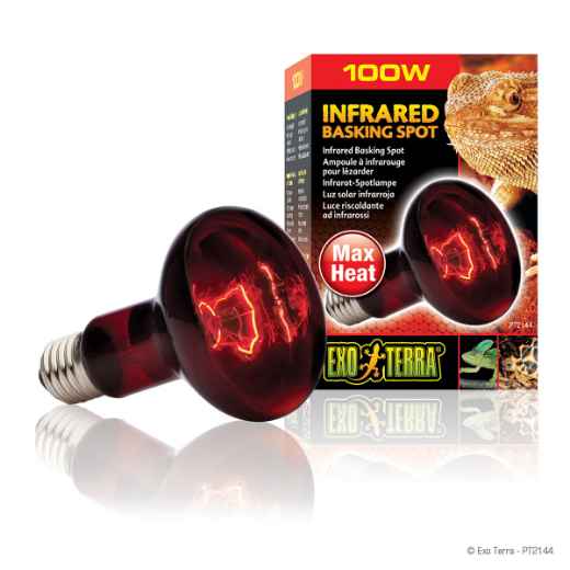 Picture of EXO TERRA INFRARED BASKING SPOT LAMP 100w R25 ( PT2144)