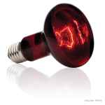 Picture of EXO TERRA INFRARED BASKING SPOT LAMP 100w R25 (PT2144)