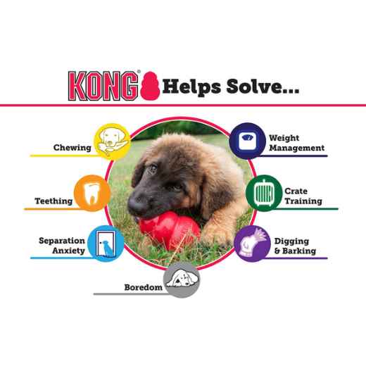 Picture of TOY DOG KONG CLASSIC RED (KK) - King