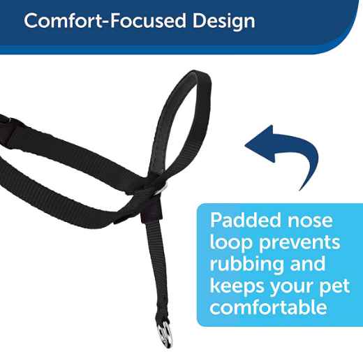 Picture of EASY WALK CANINE HEADCOLLAR PETSAFE Black - Large