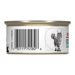 Picture of Royal Canin Veterinary Diet DIABETIC Thin Slices In Gravy Wet Cat Food - 24 X 85gm cans