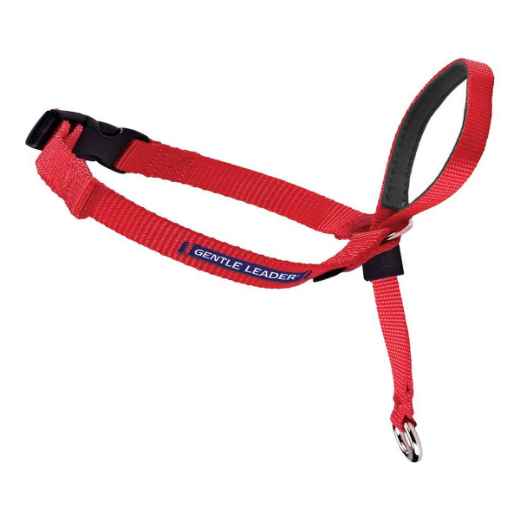 Picture of GENTLE LEADER CANINE ADJUSTABLE HEADCOLLAR Red - Small