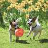 Picture of TOY DOG KONG Jumbler Ball - Medium/Large