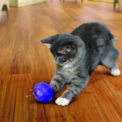 Picture of KONG ACTIVE Cat Treat Ball 