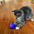 Picture of TOY CAT KONG ACTIVE Treat Ball
