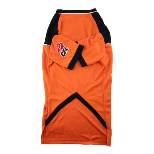 Picture of CLOTHING K/9 CFL JERSEY X Large - BC Lions