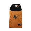Picture of CLOTHING K/9 CFL JERSEY Medium - BC Lions