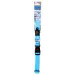 Picture of COLLAR CANINE ROGZ UTILITY LUMBERJACK Turquoise - 1in x 17-27.5in