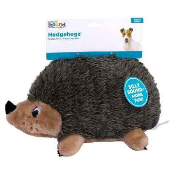 Show details for TOY DOG OH HEDGEHOGZ - Junior Picture of TOY DOG OH HEDGEHOGZ - Junior