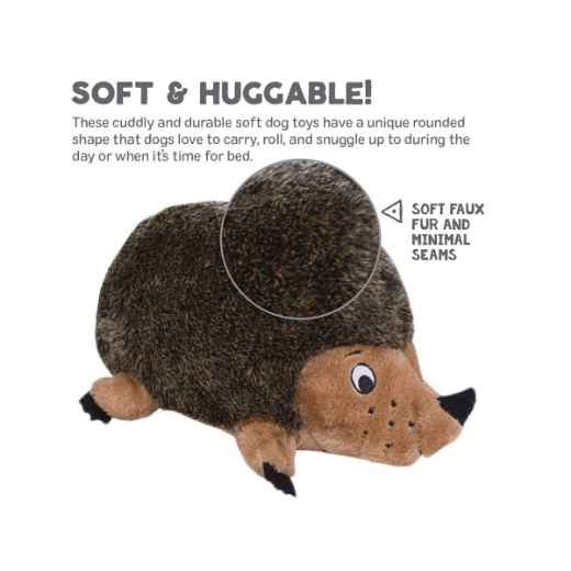 Picture of TOY DOG OH HEDGEHOGZ - Junior